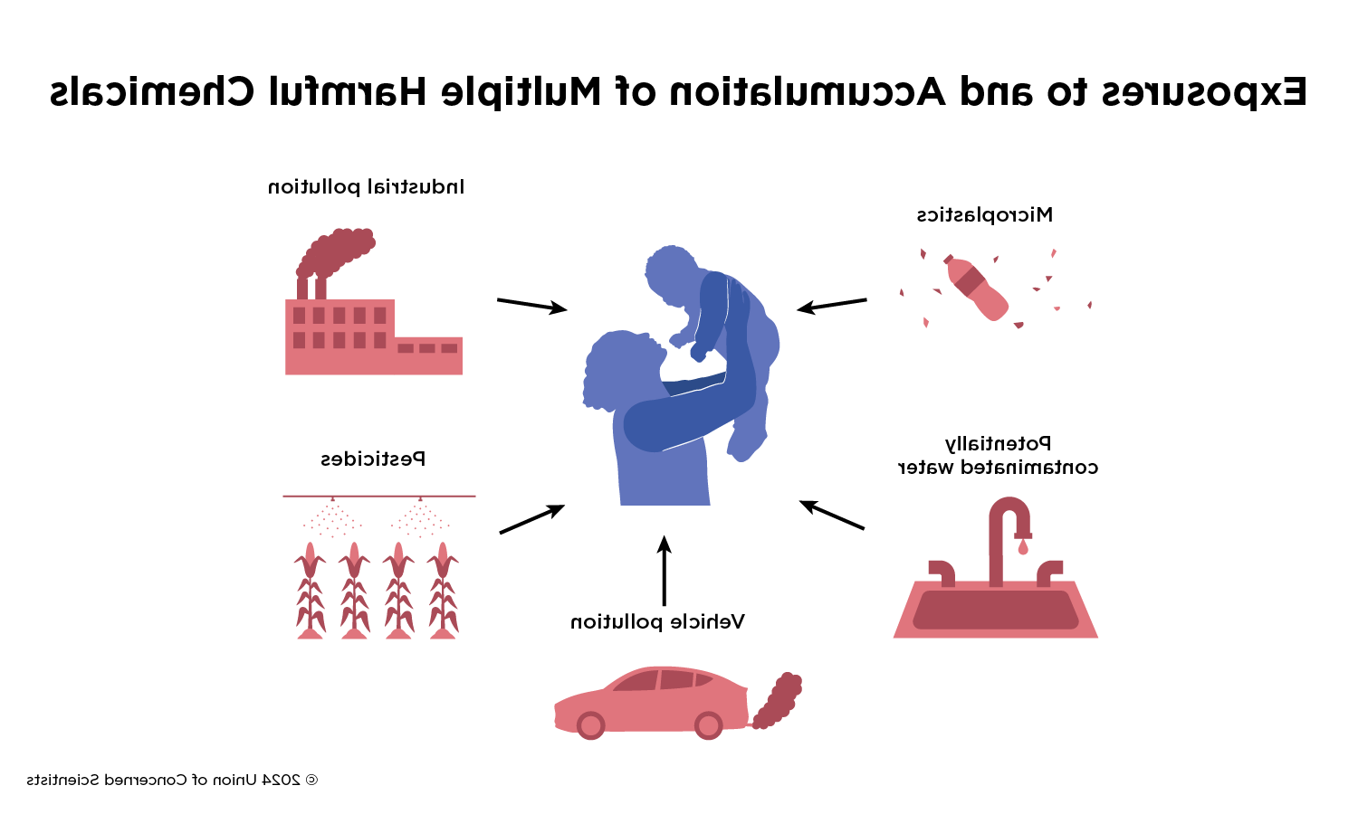 A graphic showing different sources of pollution that can have cumulative impacts, including pesticides, industrial pollution, vehicle pollution, plastics, and water contamination.